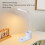 Lampada da tavolo LED bianca piccola touch 15W wireless 5