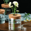 Hydroponic plant bottle Mini hydroponic plant vase 1