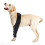 Ginocchiera per cane regolabile antiscivolo 5