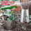 seedling transplanter digging pits sowing seedling tools 3
