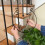 5Pcs Floating Iron Railing Planter Shelf, 292712cm, Rustproof 4