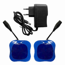 2 Stück 12000mAh Wiederaufladbare Lithiumbatterie mit Ladegerät für Angelköderboote