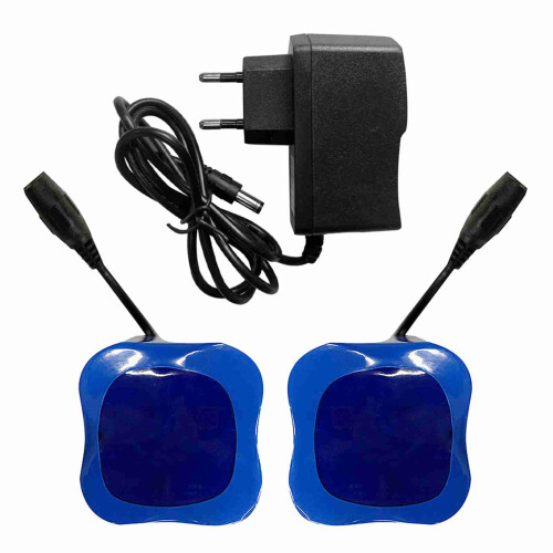 2 Stück 12000mAh Wiederaufladbare Lithiumbatterie mit Ladegerät für Angelköderboote