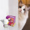 Diffusore Feromoni per Gatti Plugin Rilassanti Pet Emozionale Comfort Strumento Spray 9