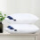 (Mid)Hilton oreiller pur coton blanc coussin intérieur doux chambre sommeil maison rectangle 3