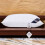 (Mid)Hilton oreiller pur coton blanc coussin intérieur doux chambre sommeil maison rectangle 10