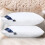 (Mid)Hilton oreiller pur coton blanc coussin intérieur doux chambre sommeil maison rectangle 6
