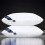 (Mid)Hilton oreiller pur coton blanc coussin intérieur doux chambre sommeil maison rectangle 8