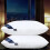 (Mid)Hilton oreiller pur coton blanc coussin intérieur doux chambre sommeil maison rectangle 2