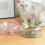 Gamelle inclinée pour chat 500 ml verte support détachable 10