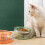 Gamelle inclinée pour chat 500 ml verte support détachable 11