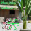 Set de 4 porte-tiges : 5,8/7,7/11,7/13,5 cm vert 5