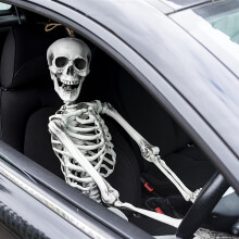 (1pc) 170cm 1:1 Life Size Oversized Movable Human Skeleton Model - Realistic Resin Skeleton Indoor/Outdoor Halloween Decor Halloween Decorations