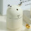 Compact Silver Plastic Pop Up Toothpick Holder Dispenser Storage Box 4