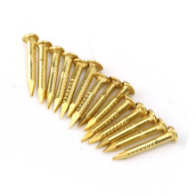 100Pcs Brass Round Head Nails for Furniture Hinges - 10mm to 22mm Length