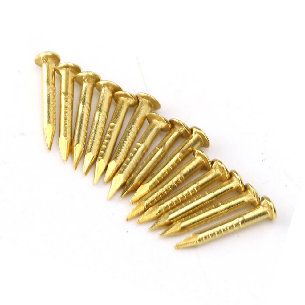 100Pcs Brass Round Head Nails For Furniture Hinges - 10Mm To 22Mm Length 4991334666825