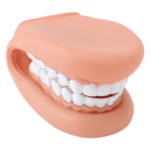 Kids Speech Training Puppet 28 Teeth Mouth Hand Toy with Tongue