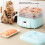 Adjustable Temp Food Dehydrator Machine, 6 Trays, 200W, 72H Timer 5