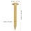 100Pcs 10mm Brass Round Head Nails for DIY Vintage Craft Projects 1
