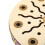 Sea Drum Ocean Wave 8 po érable percussion ethnique 7