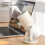 beige USB-Tisch-Luftbefeuchter 300 ml 2-Mist-Modus 6