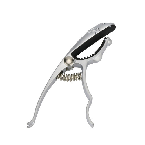 Leopard Capo 14x6 cm / 5,5x2,4 po 1 pièce or