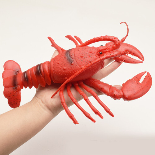Giocattolo che fa squittire a forma di aragosta - Plastica morbida realistica 2