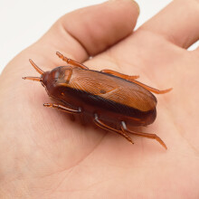 Juguete electrónico de cucaracha, plástico, batería incluida