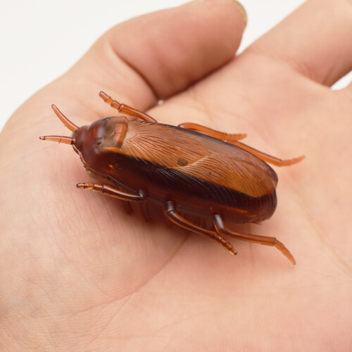 Juguete electrónico de cucaracha, plástico, batería incluida