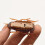 Juguete electrónico de cucaracha, plástico, batería incluida 4