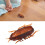 Juguete electrónico de cucaracha, plástico, batería incluida 10