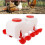 10L Semi-Automatic Chicken Waterer – 46.5x18.3x15cm, Durable PP 16