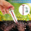 Small Plastic Handheld Lightweight Seeder Needle Sower Planter Tool Design Sowing Seeder Portable Spreader 2