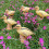 Gelbe Solarduck Gartenlampe 14 cm Außenbereich Gartendekoration 14