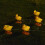 Gelbe Solarduck Gartenlampe 14 cm Außenbereich Gartendekoration 12