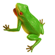 Modèle:Grenouille réaliste;Cap:PVC;Taille:S;Couleur:Vert