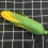 6 Pcs Simulated Corn Cob Lifelike Artificial Decor Ornament 10