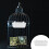 5Pcs White Parrot Feeding Container Thick Plastic for Pigeon Cage Use 2