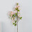 Modell: Hydrangea; Farbe Pink; 80,00 g; 80 cm x 3,5 cm 12