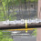 12 ensembles de pics anti-oiseaux base 25 cm pointe 11 cm inox 3