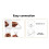 12 ensembles de pics anti-oiseaux base 25 cm pointe 11 cm inox 6