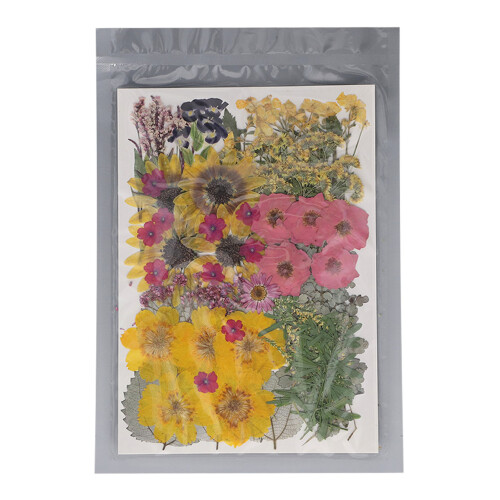 100 pièces de fleurs séchées et pressées 13 types 19x27cm 1
