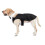 (M) Pet Dog Wedding Suit Tuxedo 3