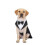 (M) Pet Dog Wedding Suit Tuxedo 1