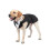 (M) Pet Dog Wedding Suit Tuxedo 2