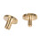 Rivetti per legatoria 50 pezzi ottone 10x6mm testa piatta 11