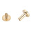 50 Pcs Brass Binding Rivets for Leather & Fabric 10x6mm 16