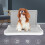 Large and Small Dog Mesh Training Potty with Removable Wall White 5