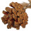 Parrot Chewing Toy Beak Grinding Safe Log Nut Pine Cone Corn Leaf Hanging Bird 7