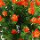 32Pcs Outdoor Uv Resistant Plants, 32 Branches Faux Plastic Greenery S 7